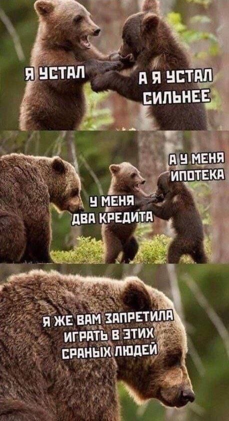 Мишки решили поиграть в людей