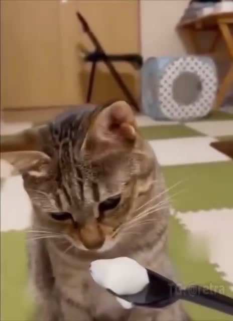 Когда захотел что-то, а потом перехотел